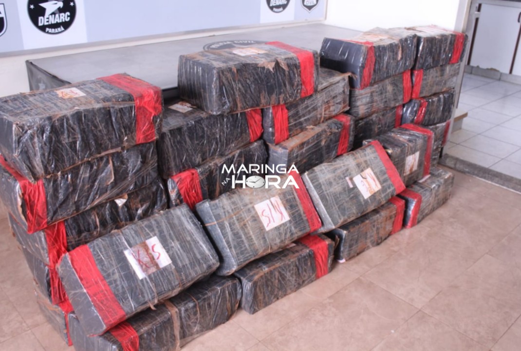 foto de Denarc apreende meia tonelada de maconha no pedágio de Floresta