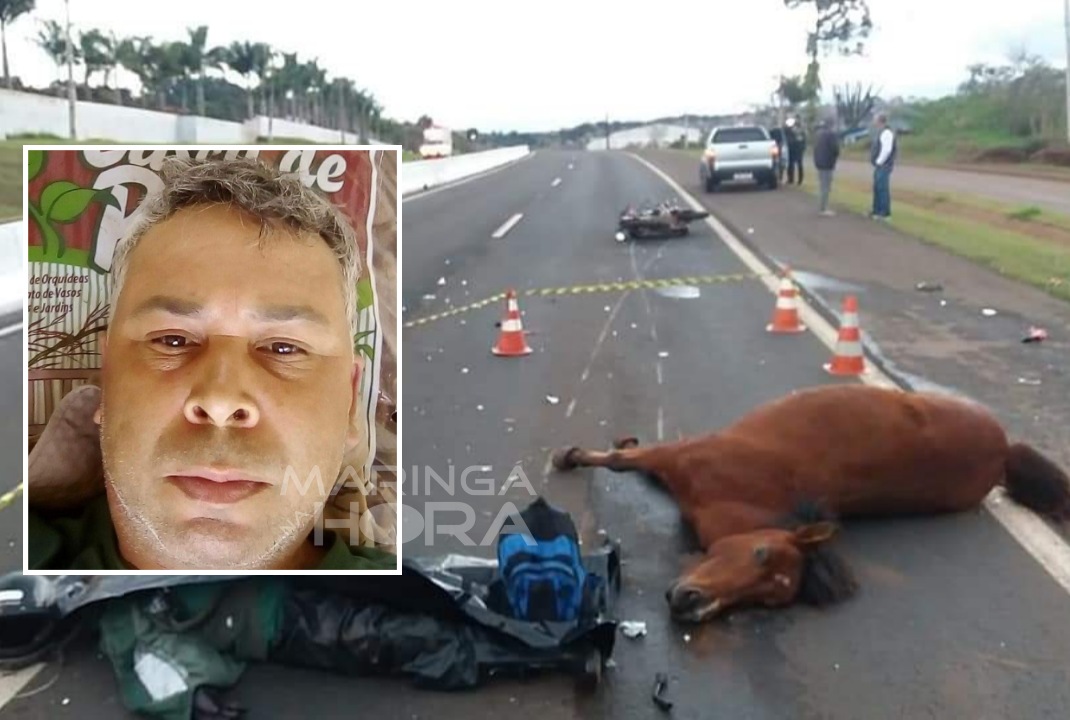 foto de Motociclista morre após moto bater em cavalo solto na pista no Norte do Paraná