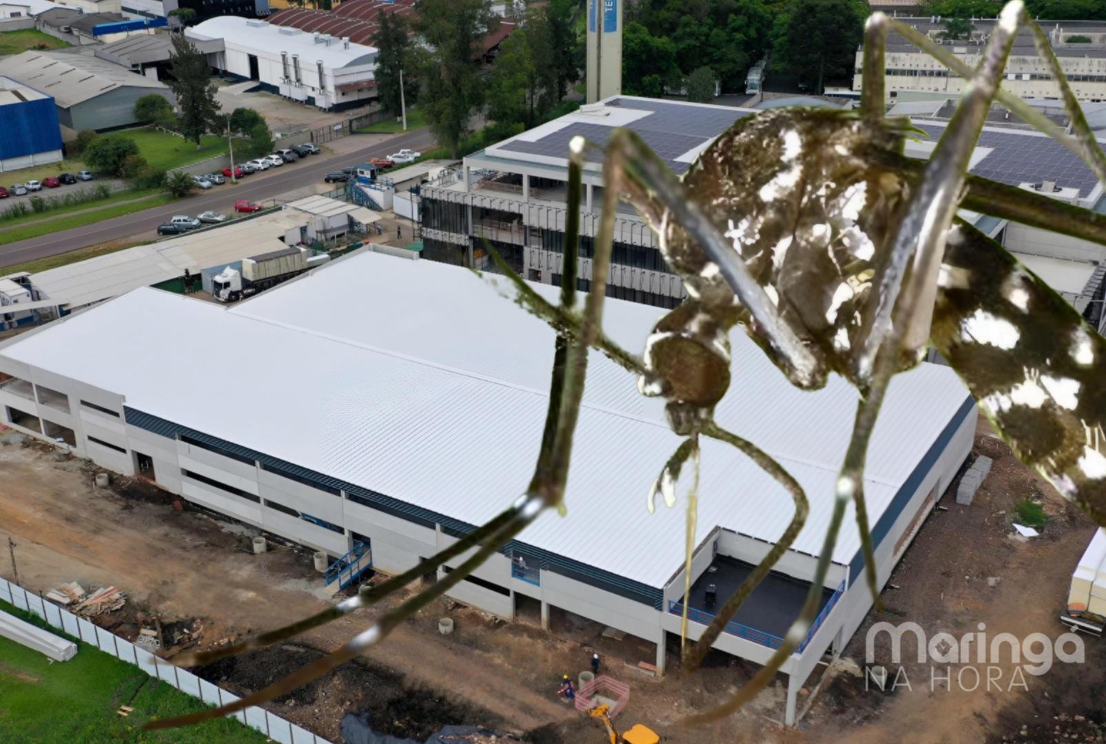 foto de Paraná terá maior fábrica de mosquitos do mundo