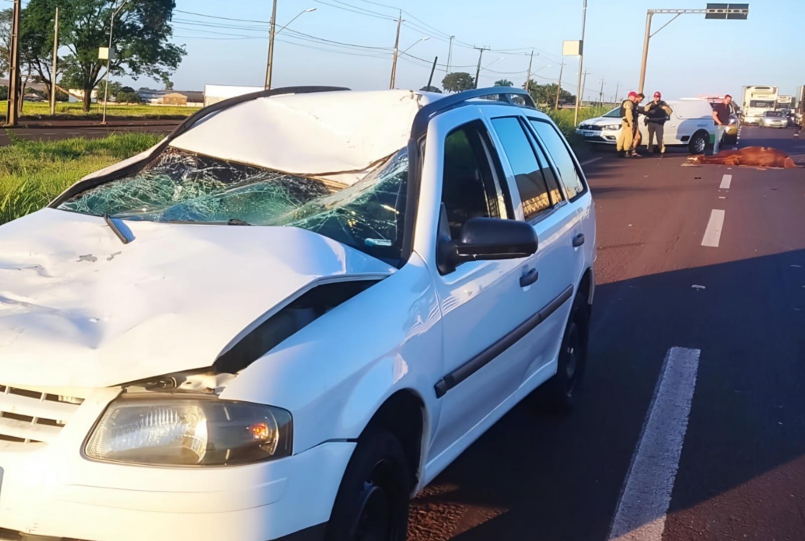 foto de Carro fica destruído após bater em cavalo solto na pista