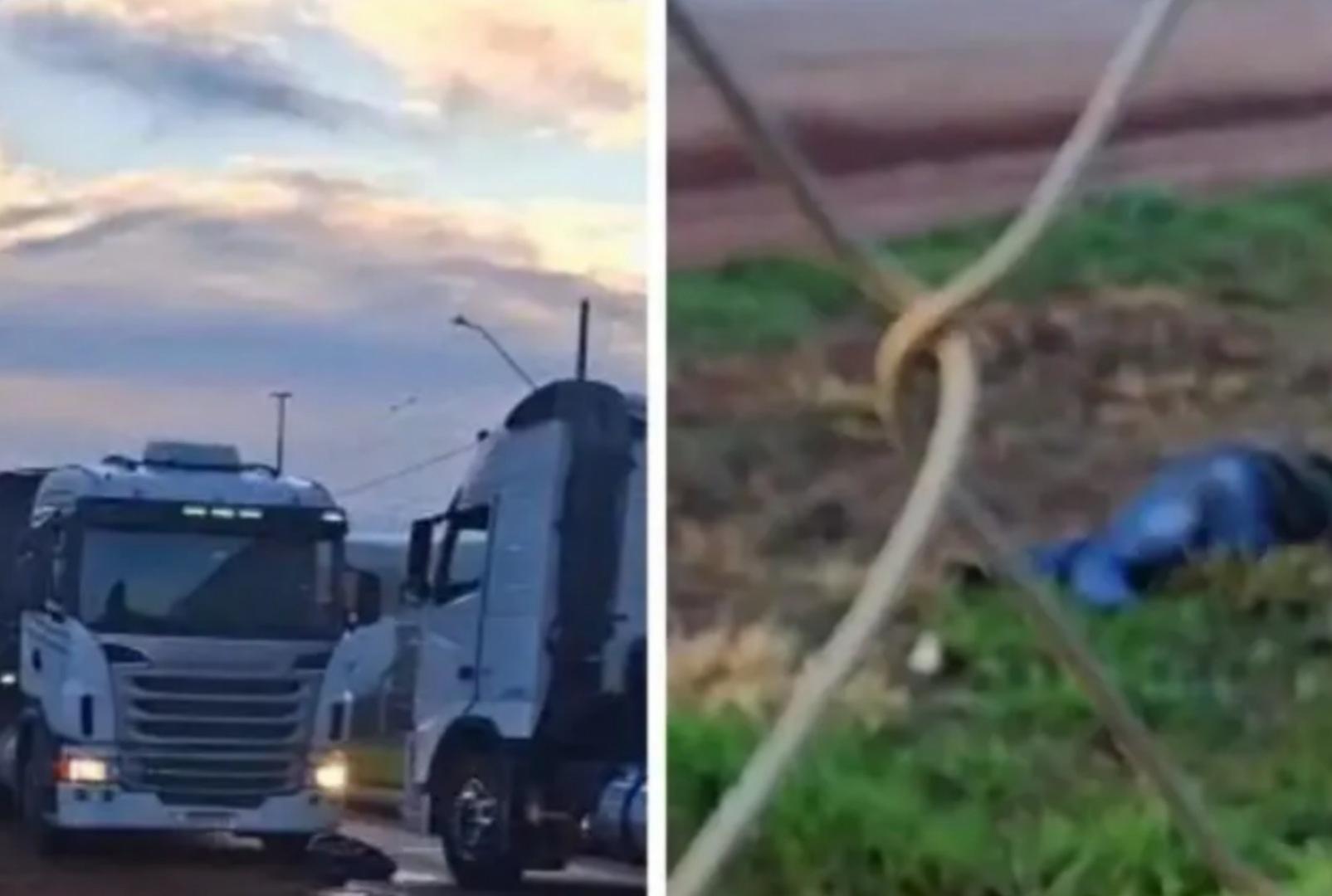 foto de Dois irmãos são mortos a facadas durante briga entre caminhoneiros em fila para descarregamento de carga