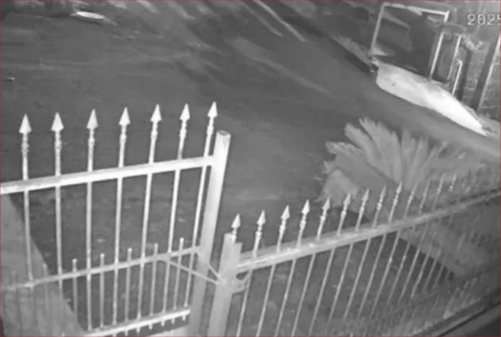 Imagens fortes: criança de 6 anos morre após bicicleta sem freio bater em muro no Paraná; veja