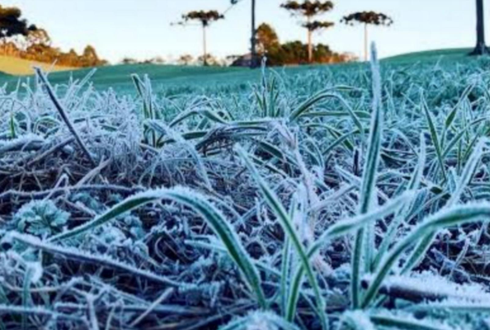 foto de Frio intenso chega ao Paraná: mínimas negativas e geada previstas para o fim de maio
