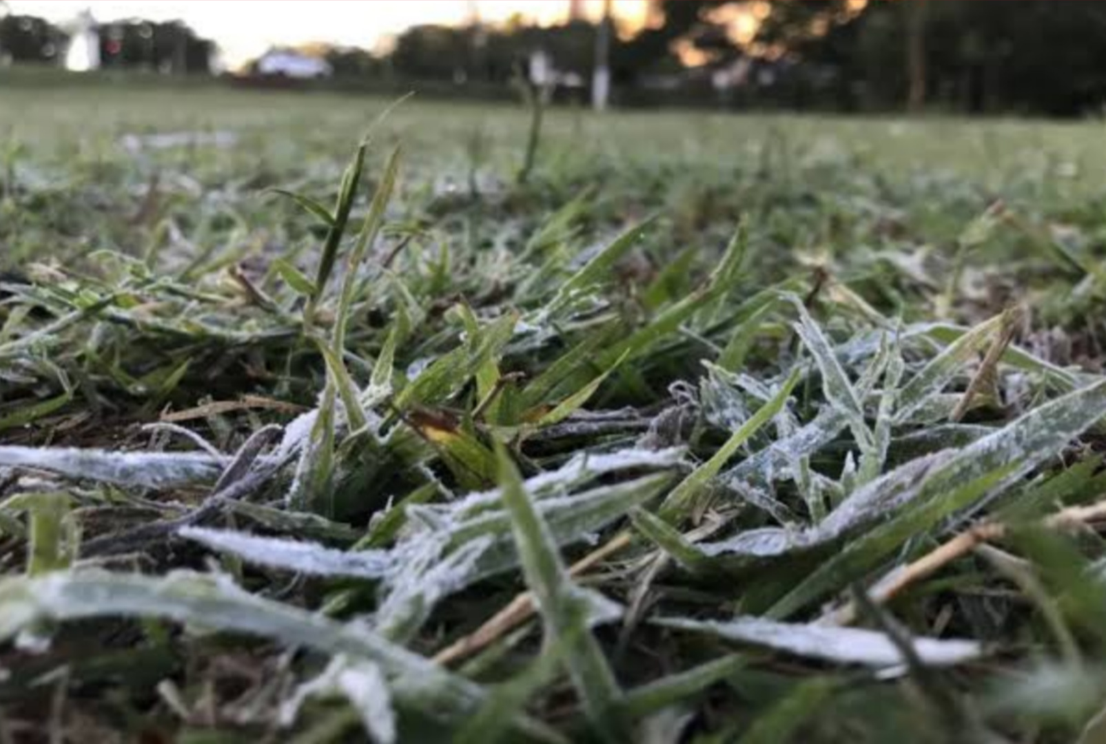 foto de Simepar alerta para onda de frio no Paraná a partir desta segunda (09)