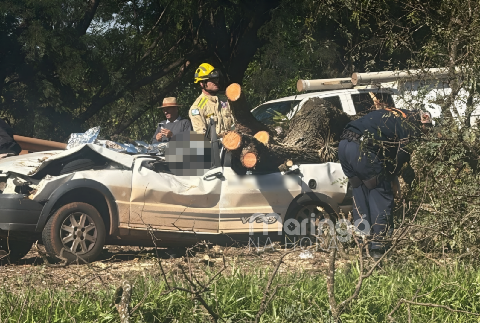 foto de Cena chocante na PR-317; carro esmagado por árvore mata motorista em Maringá