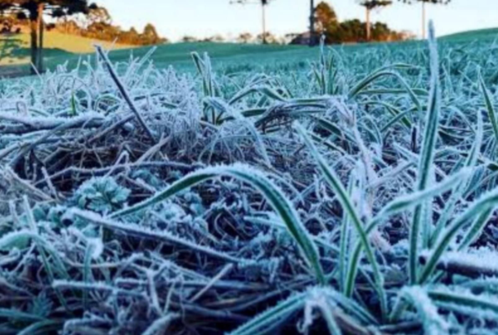 foto de Frio histórico no Paraná: terça terá geada negra, ventania e mínima de 0°C