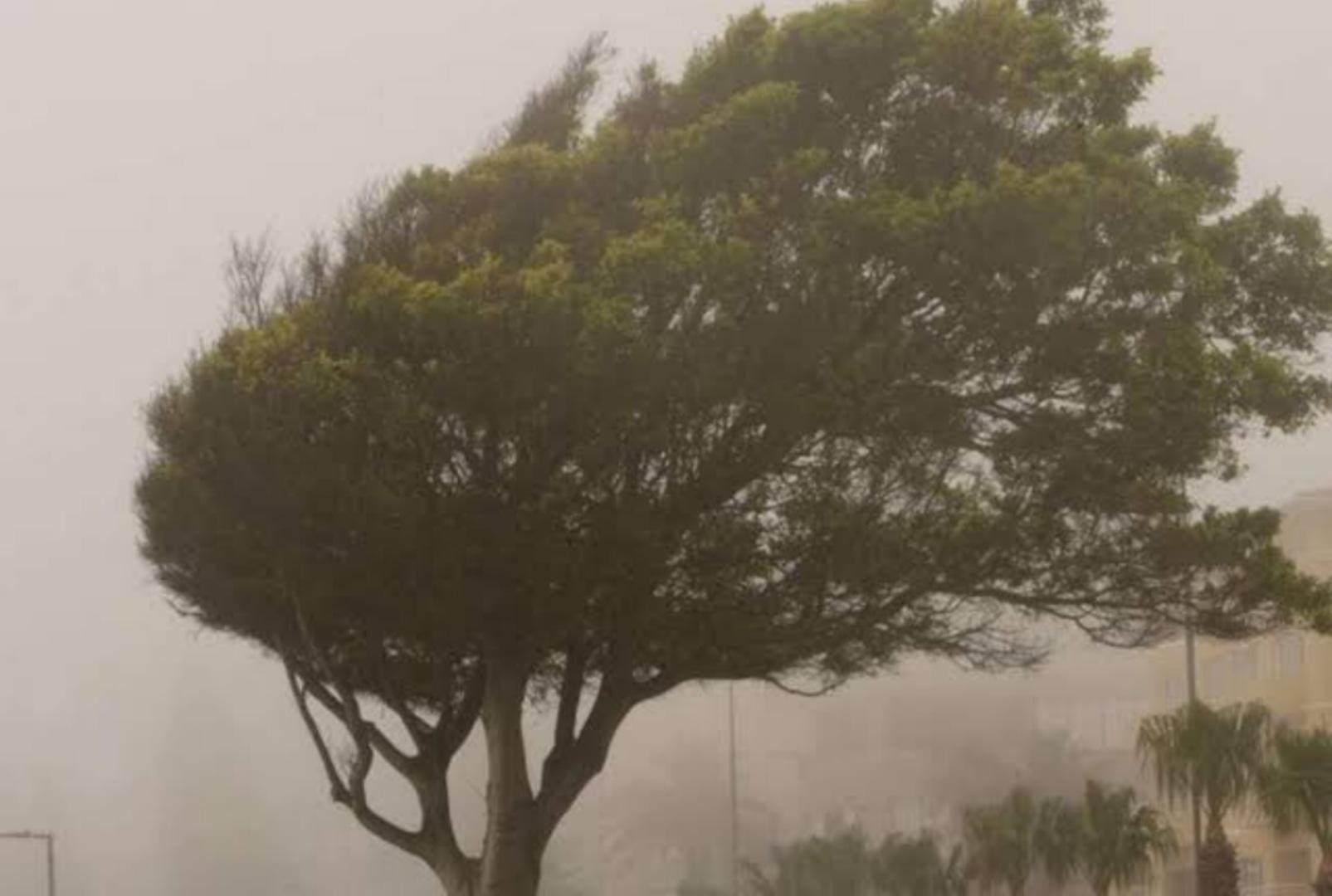 foto de Ciclone extratropical provoca chuvas e ventos intensos no Paraná — confira as localidades