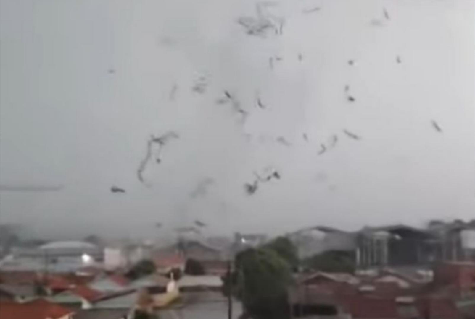 foto de Vídeo mostra tornado que deixou rastro de destruição em São José dos Pinhais