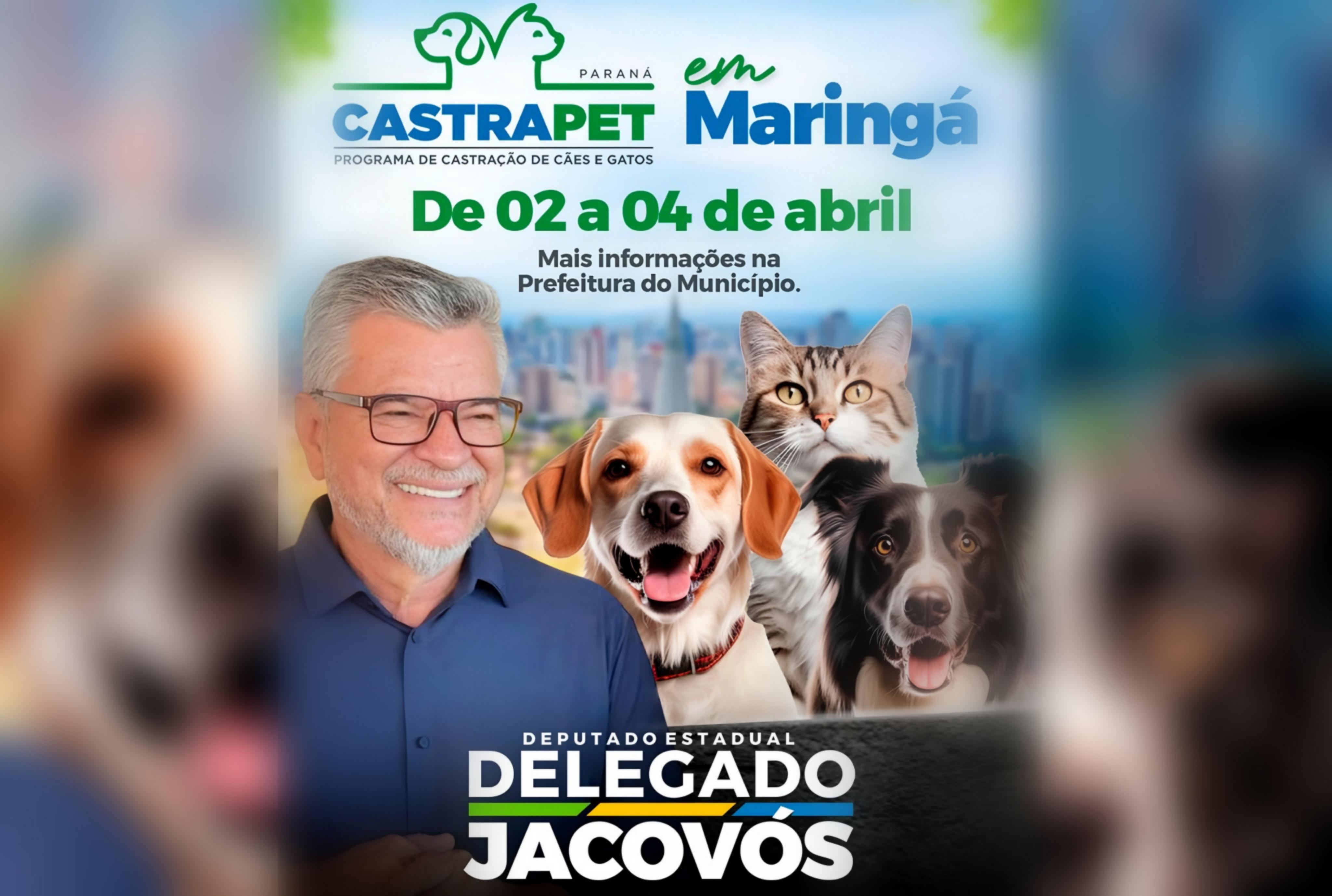 foto de Com apoio do deputado Delegado Jacovós, Maringá recebe 702 castrações gratuitas a partir desta quinta-feira