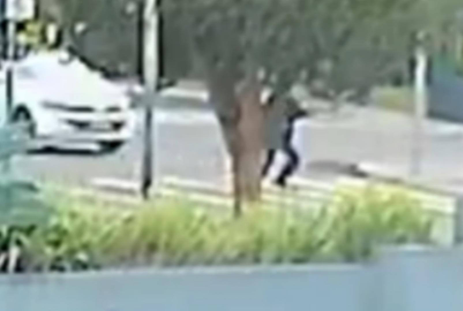 Vídeo mostra exato momento de acidente fatal que matou homem e cachorro no Norte do Paraná