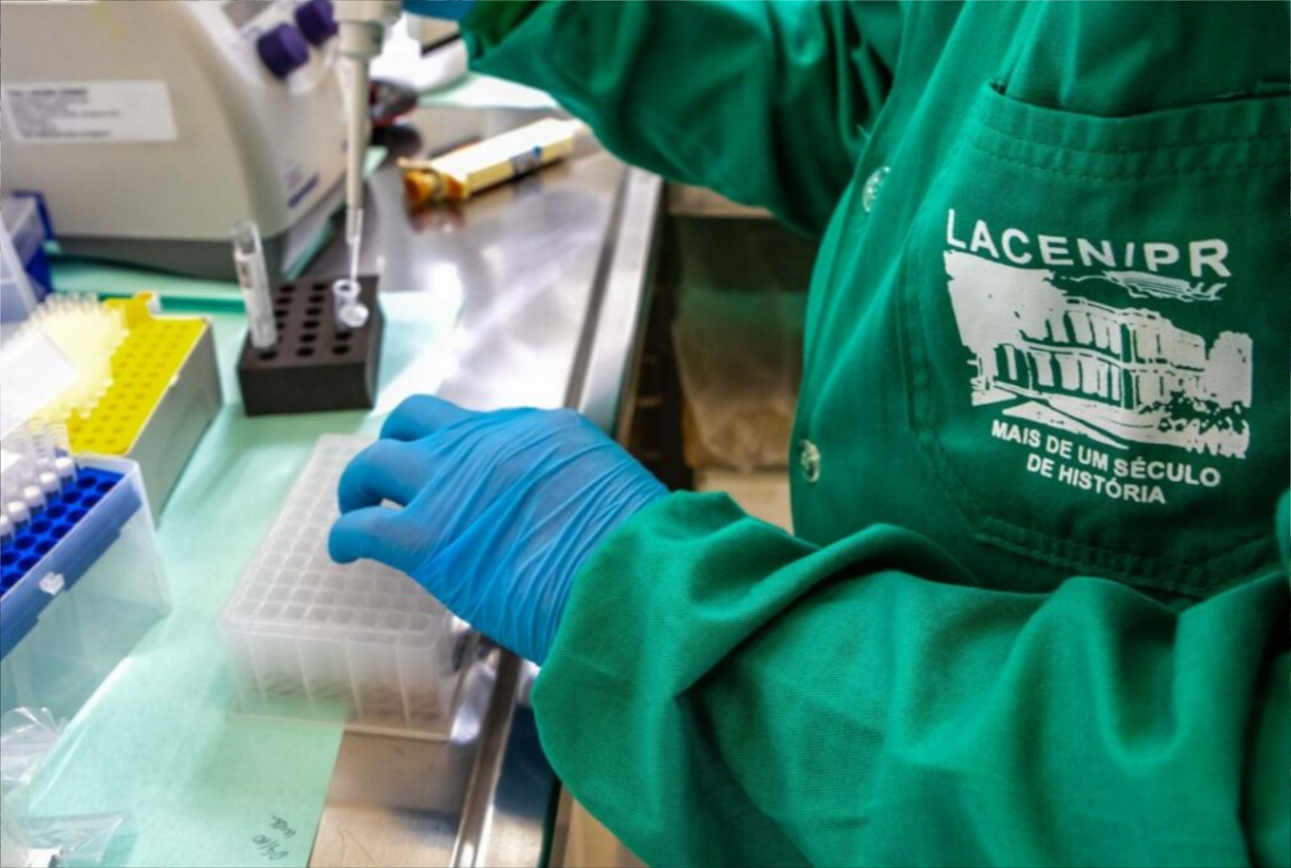 Três vírus em alta: Paraná enfrenta aumento de casos graves respiratórios: veja como identificar os sintomas