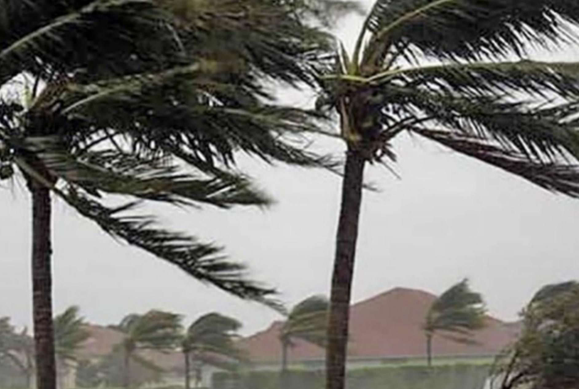 Granizo, ventos e chuva intensa: veja as cidades do Paraná sob risco neste sábado (25)