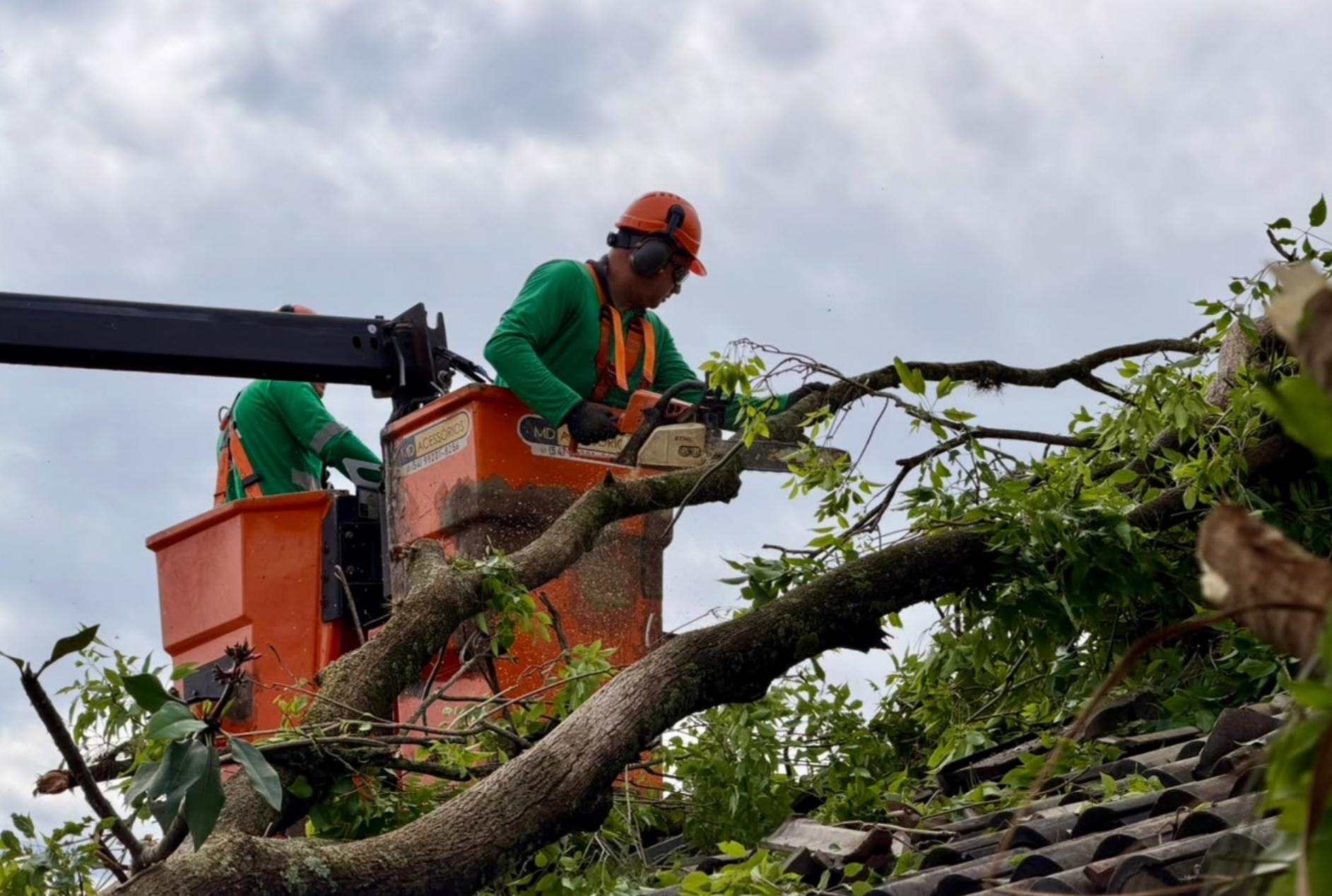 foto de Após temporal, Prefeitura mobiliza mais de 200 servidores para recuperar áreas atingidas em Maringá