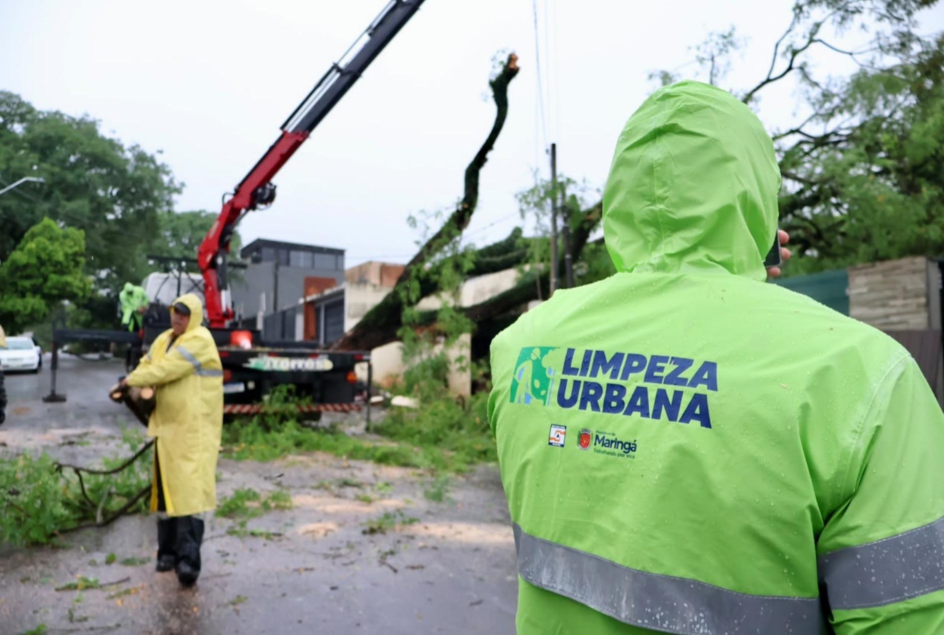 Prefeitura de Maringá mobiliza cerca de 300 servidores para recuperar áreas atingidas por temporal