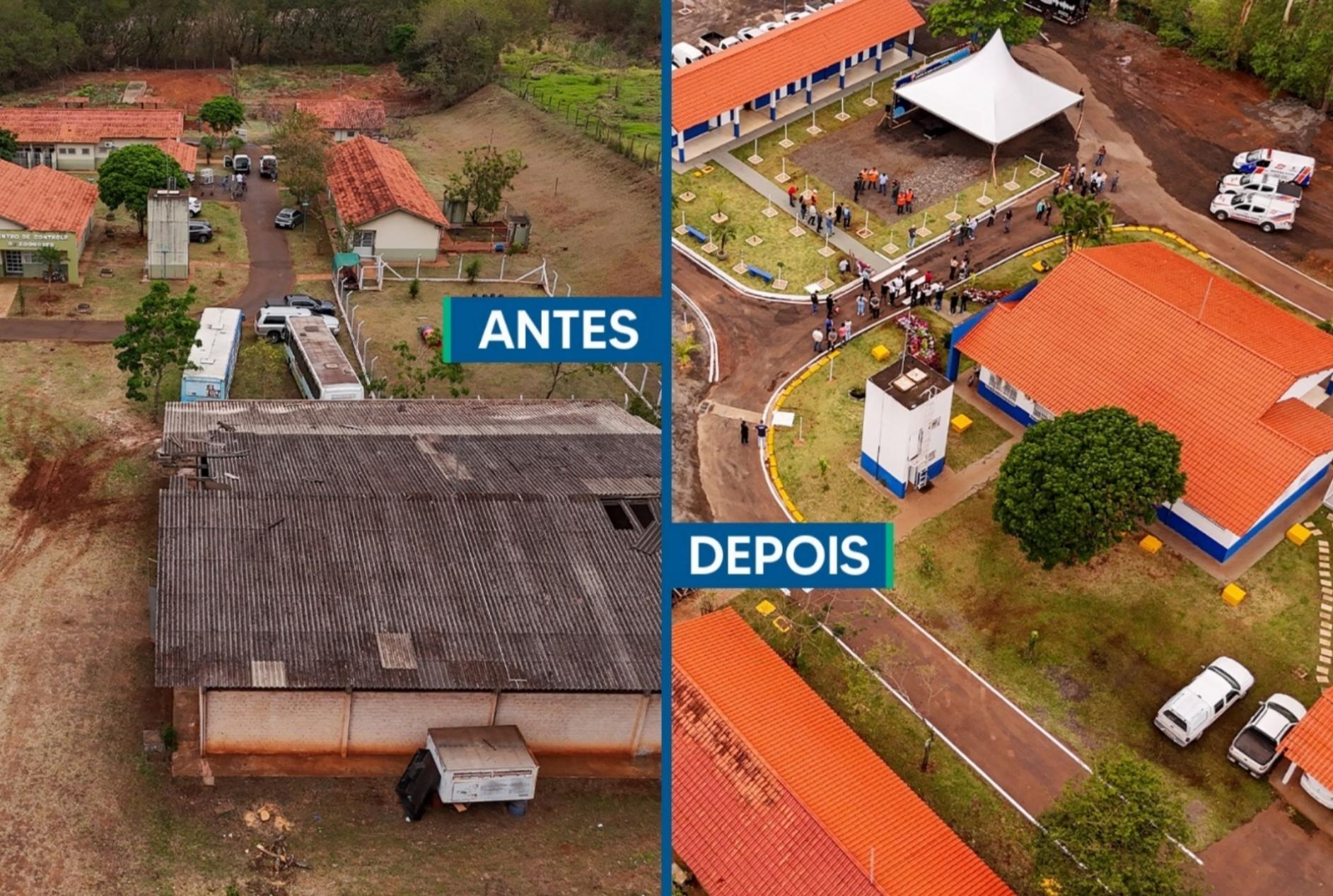 Novo Centro de Bem-Estar Animal de Maringá amplia oferta de acolhimento e cuidados a pets vítimas de maus-tratos