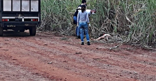 Travesti é encontrada morta em canavial de Mandaguaçu, diz polícia