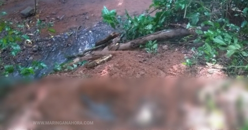 Corpo de possível integrante do PCC é encontrado enterrado em Mandaguaçu