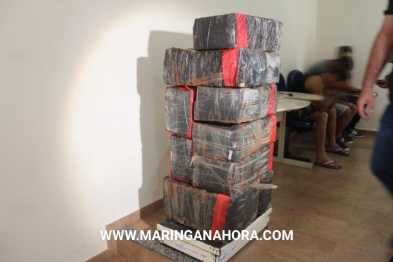 foto de Denarc apreende meia tonelada de maconha no pedágio de Floresta
