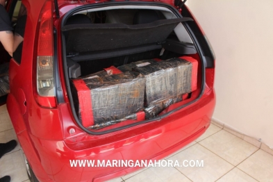 foto de Denarc apreende meia tonelada de maconha no pedágio de Floresta