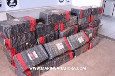 foto de Denarc apreende meia tonelada de maconha no pedágio de Floresta
