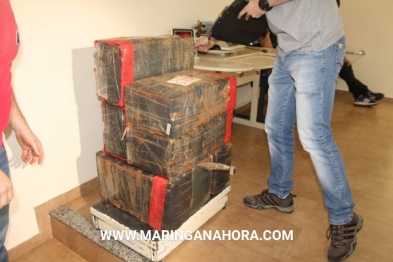 foto de Denarc apreende meia tonelada de maconha no pedágio de Floresta