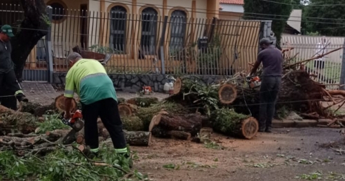 Mais de 500 chamados: Prefeitura trabalha para restabelecer a normalidade em Maringá