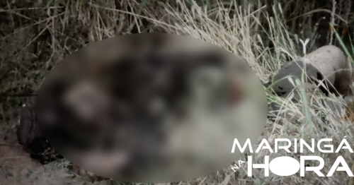 Corpo de homem é encontrado em avançado estado de decomposição na zona rural de Maringá