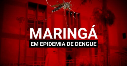 Maringá entra em epidemia de dengue