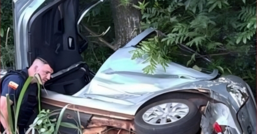 Carro sai da pista após colisão, bate em árvore e homem acaba morrendo na PR-317