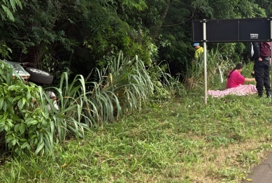 foto de Carro sai da pista após colisão, bate em árvore e homem acaba morrendo na PR-317