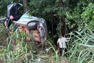 foto de Carro sai da pista após colisão, bate em árvore e homem acaba morrendo na PR-317
