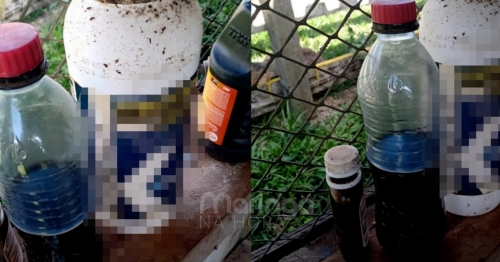 Irmãos morrem ao se confundirem e tomarem veneno achando que era suco de uva no Paraná