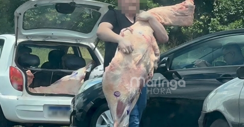 Pessoas abraçam pedaços de carne ao saquearem carga no Paraná