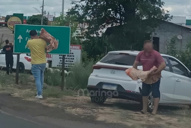 foto de Pessoas abraçam pedaços de carne ao saquearem carga no Paraná