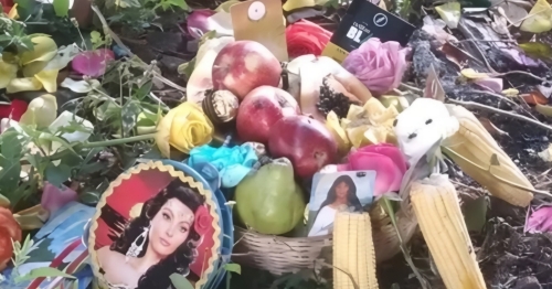 Mulher é atropelada por trem enquanto realizava ritual religioso