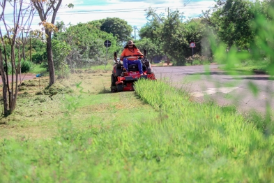 foto de Com mutirões e trabalho intenso, Prefeitura realizou roçada em mais de 1 milhão de metros quadrados