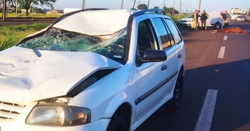 Carro fica destruído após bater em cavalo solto na pista