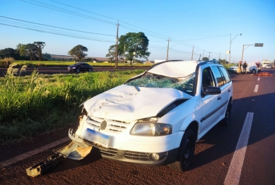 foto de Carro fica destruído após bater em cavalo solto na pista