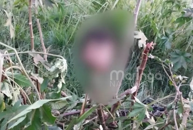 foto de Indígena é decapitado no Paraná; cabeça estava pendurada em galho