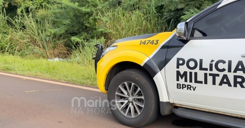Ciclista que morreu atropelado em rodovia é identificado