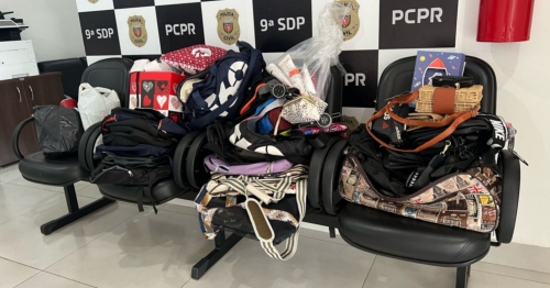 Polícia cumpre mandado contra mulher que teria furtado mais de R$ 19 mil em itens do local em que trabalhava