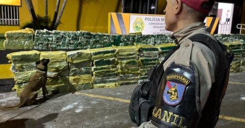 PRE apreende 2.7 toneladas de maconha sendo transportada em carreta na PR-323