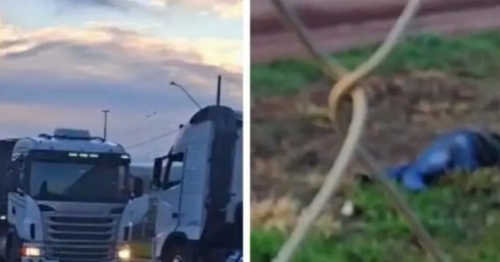 Dois irmãos são mortos a facadas durante briga entre caminhoneiros em fila para descarregamento de carga