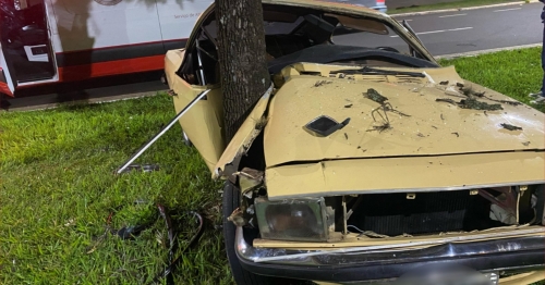 Colisão violenta entre carro e árvore deixa feridos em Maringá