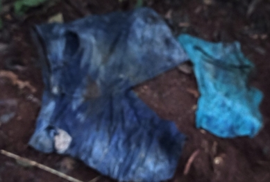 foto de Suspeito de ter envolvimento no desaparecimento de agricultor em Marialva diz que homem foi esquartejado