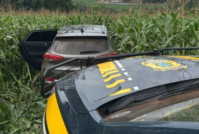 foto de PRF apreende mais de 1,5 tonelada de drogas e mais de 500 mil maços de cigarros no Norte e Noroeste do Paraná