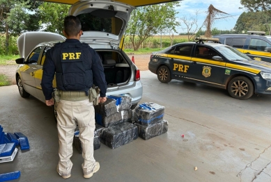 foto de PRF apreende mais de 1,5 tonelada de drogas e mais de 500 mil maços de cigarros no Norte e Noroeste do Paraná