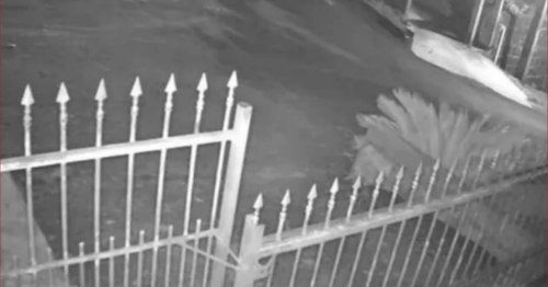 Imagens fortes: criança de 6 anos morre após bicicleta sem freio bater em muro no Paraná; veja