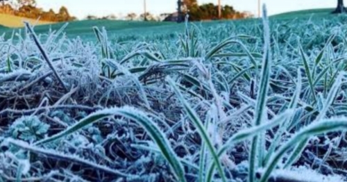 Frio intenso chega ao Paraná: mínimas negativas e geada previstas para o fim de maio
