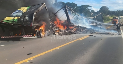 Tio e sobrinho morrem após caminhões deles baterem de frente e pegarem fogo em rodovia do PR